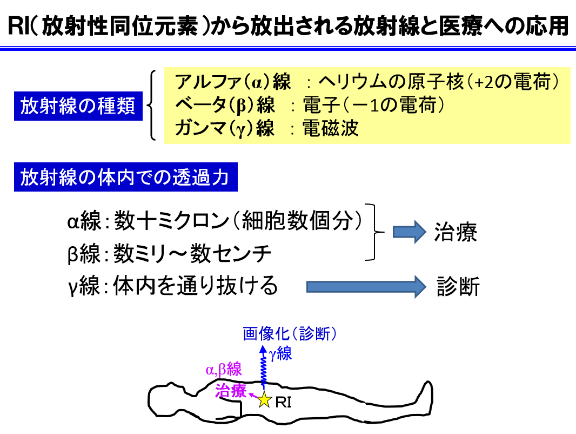 RI医療応用