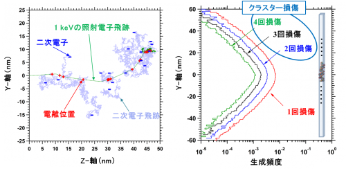 左図は1 keV電子の進行に伴う反応過程（飛跡）を示し、右図はDNAの3塩基対以内に誘発される衝突頻度の計算結果を示していますの画像