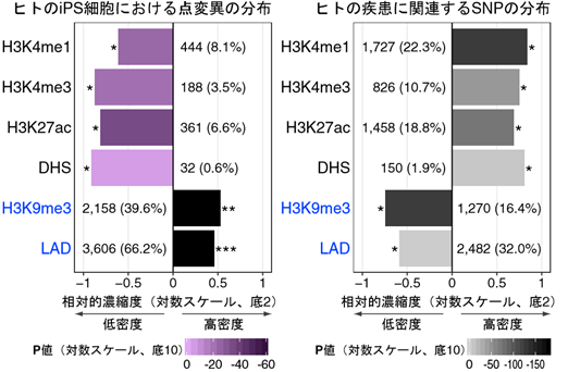 Ips細胞における点変異およびヒトの疾患に関連するSnpの分布パターンの画像