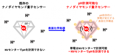 ナノダイヤモンド量子センサーを用いたpH計測法