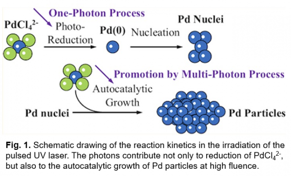 reaction kinetics