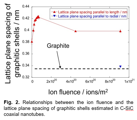 C-SiC nanotubes