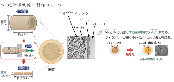 今回開発した高性能な素線の内部構造の画像