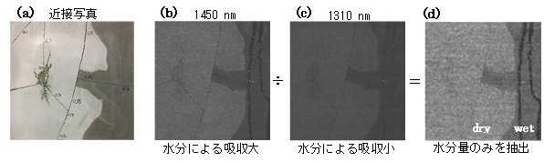 レーザーによるコンクリート表面の水の検出