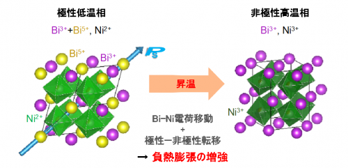 BiNi1-xFexO3の負熱膨張メカニズム