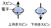 電子スピン