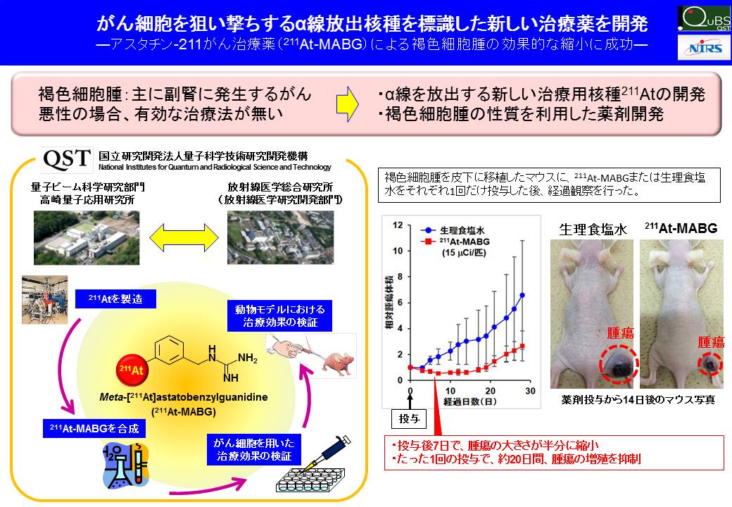 アスタチン211がん治療薬研究概要