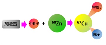亜鉛68に適切なエネルギーの中性子を照射して銅67を生成します