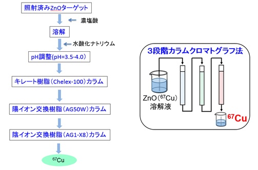 中性子を照射した亜鉛ターゲットを濃塩酸で溶解し、水酸化ナトリウムを加えてpHを3.5～4.0に調整したのち、キレート樹脂、陽イオン交換樹脂、陰イオン交換樹脂の３段階の化学分離を行い、銅67を分離・生成します。