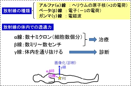 RIを用いた診断と治療解説図