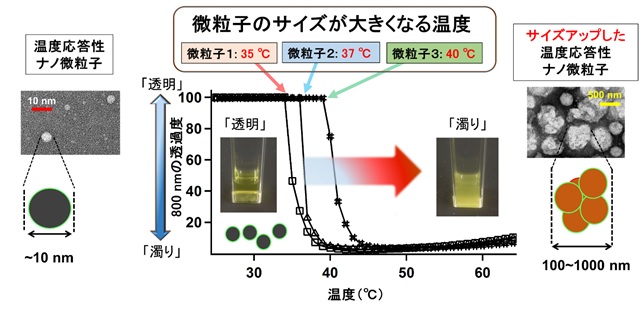 温度によってサイズアップした微粒子の写真