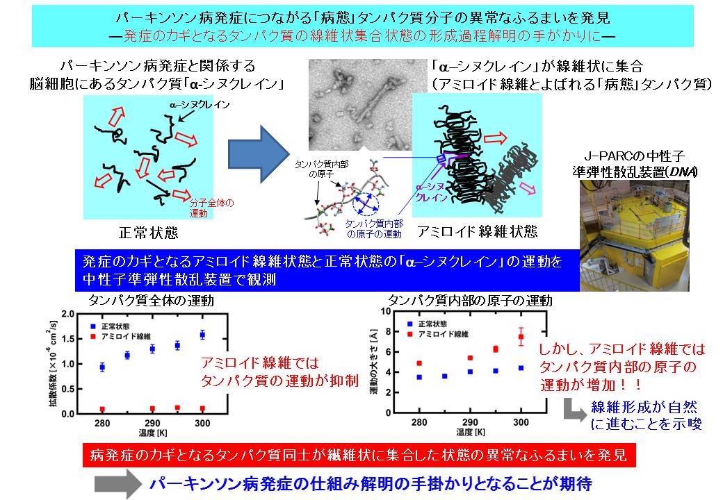 研究概要をまとめた図解