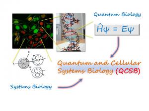 量子細胞　図