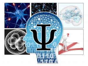 量子生命情報科学図