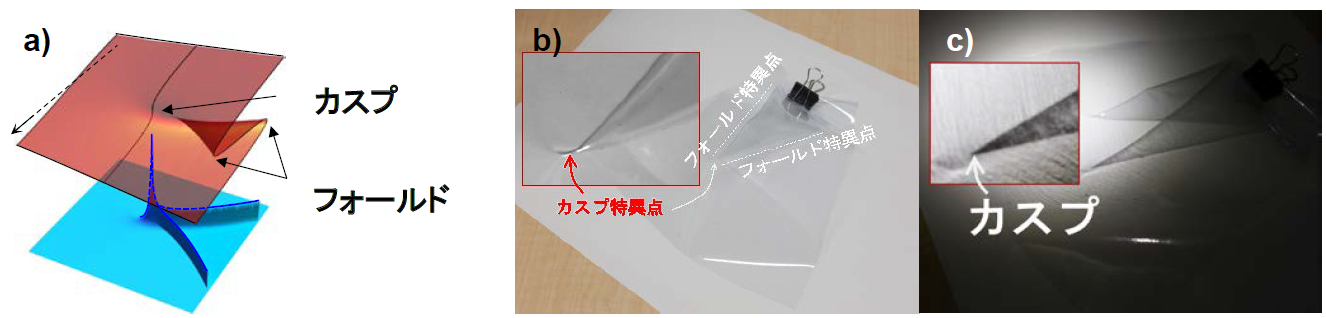 半透明なシートを折り曲げたものとそれを投影したものの画像