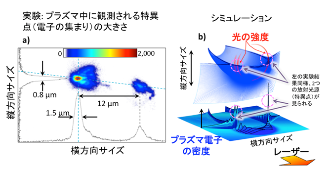 （a）実験で計測した放射光源の大きさ。空間放射光源は2つあり、約12 µm離れて1つ1つの大きさは1 µm程度である。（b）シミュレーションで得られた電子密度分布（青色）と光の強度分布（赤色）の画像