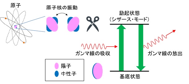 原子核のハサミ状振動の説明図