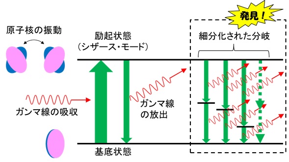 シザース・モードにおける細分化された分岐の解説図