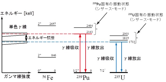 原子核の振動を利用した核物質の非破壊検知と測定の原理