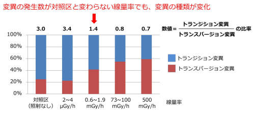 変異の種類（塩基置換の種類）