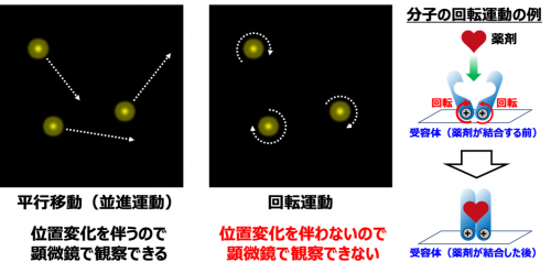 平行移動（並進運動）と回転運動。