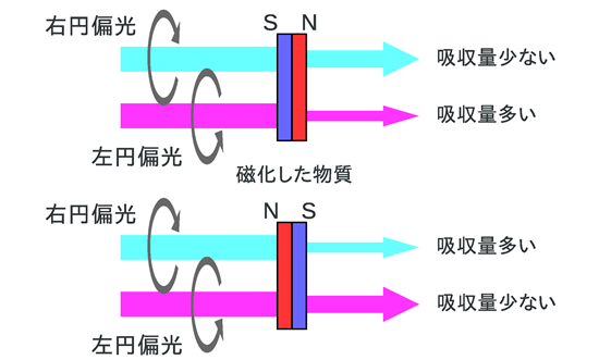図1　Ｘ線磁気円二色性の説明図の画像