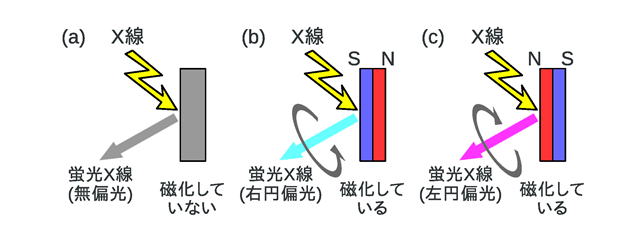 図2　今回発見した新しいＸ線磁気光学効果の説明図の画像