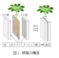 根箱の構造