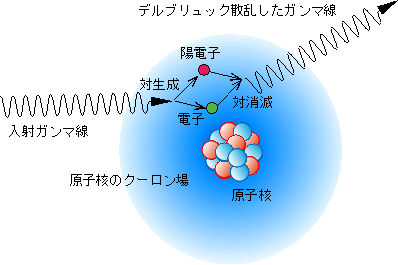 （図2）デルブリュック散乱の概念図の画像