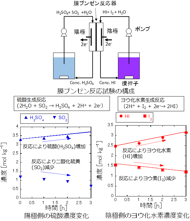 膜ブンゼン反応試験結果の画像