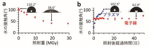 細胞をつかまえる小さな「水たまり」を開発