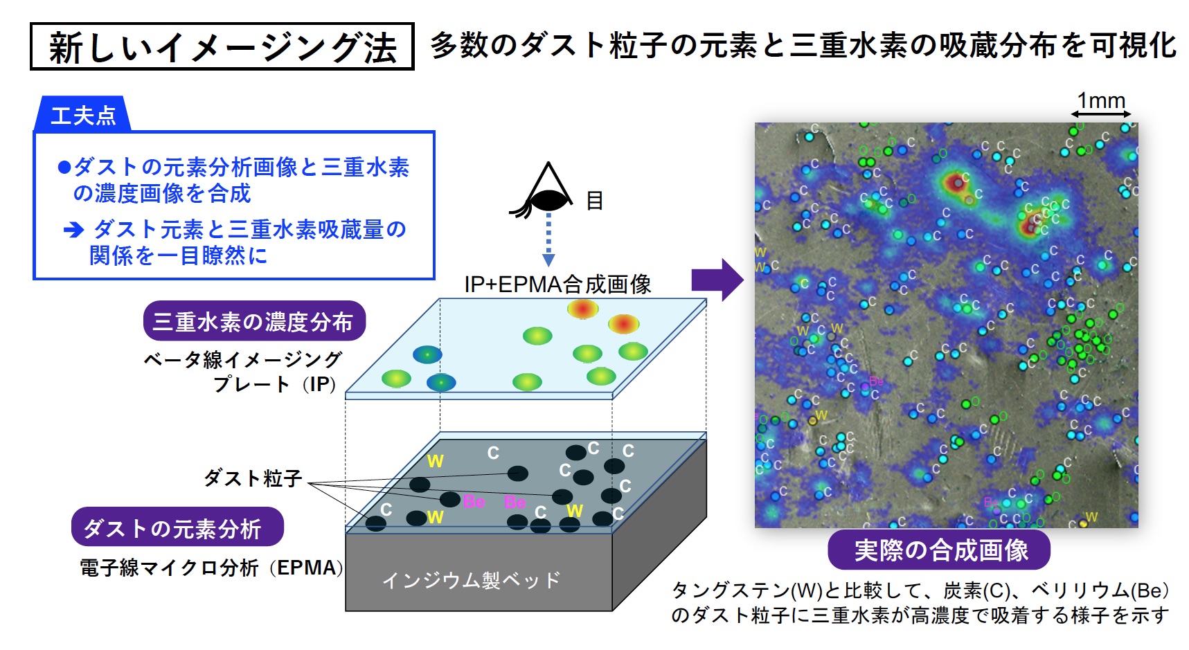 今回の分析のために新しく開発したイメージング法