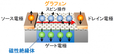 グラフェンスピントランジスタの概念の画像