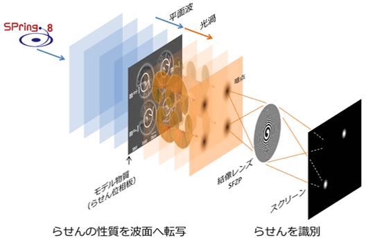 本研究で開発したX線顕微鏡の模式