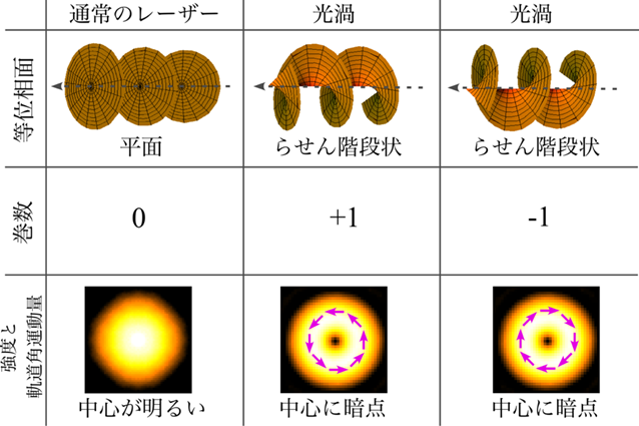 光渦ビームの巻数と周辺の強度分布の関係
