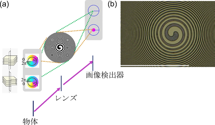 実験手法の概念図