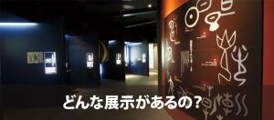 どんな展示があるの?のバナー