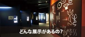 どんな展示があるの？のバナー