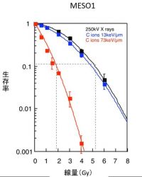 図2　コロニーアッセイの結果の画像