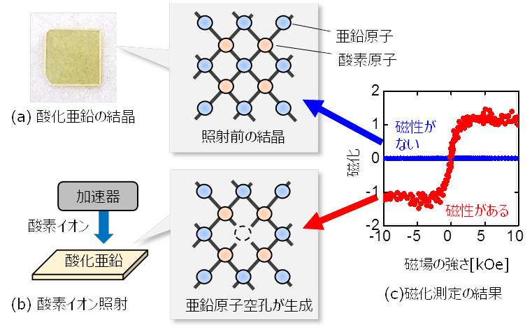 研究手法と成果の図1