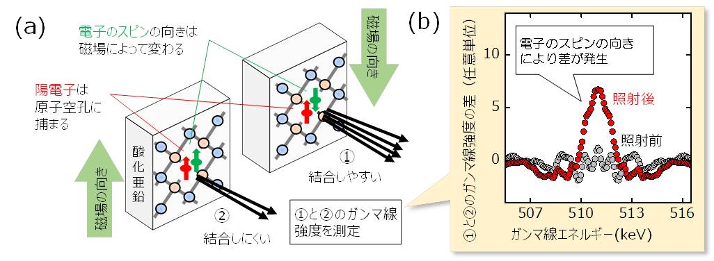 研究手法と成果の図2