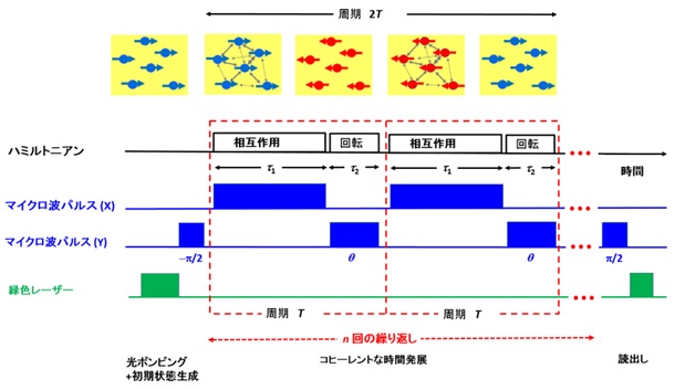 離散的時間結晶の生成と検証実験の解説図