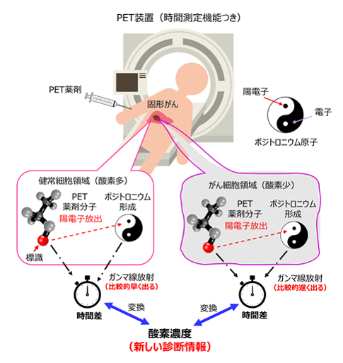 測定原理の模式図