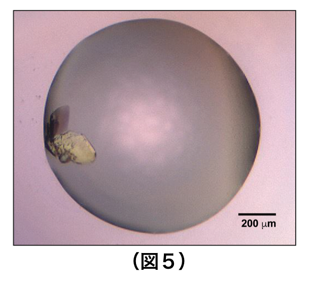 （図5）結晶化したオーバーラッピングダイヌクレオソーム