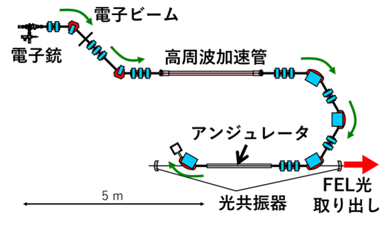 京都大学自由電子レーザ施設（KU-FEL）