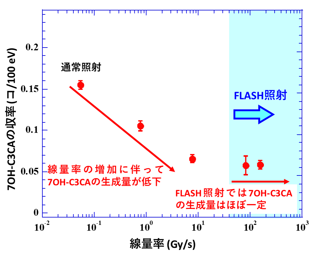 線量率に対する7OH-C3CAの収率（100 eVあたりに生成した7OH-C3CAの数）の変化