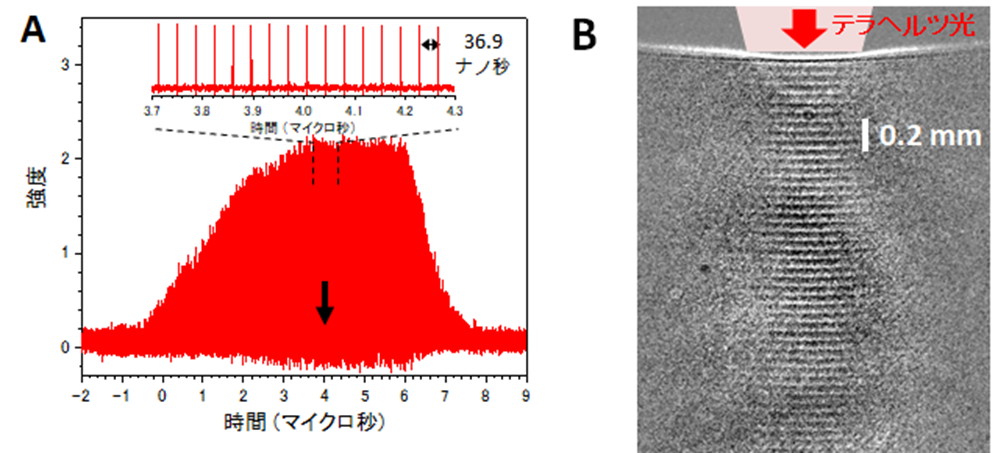 A. 本研究で用いたテラヘルツパルス列。B. 光音響波列のシャドウグラフ像。