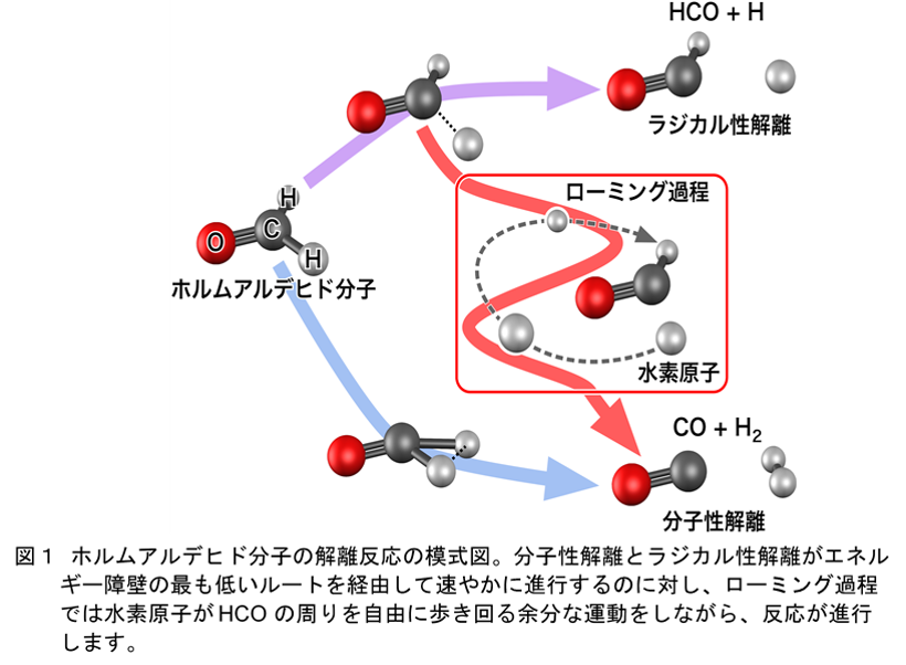 分子内を歩き回る水素の姿を捉えた！～化学反応の新しいルート「ローミング過程」の可視化に成功～