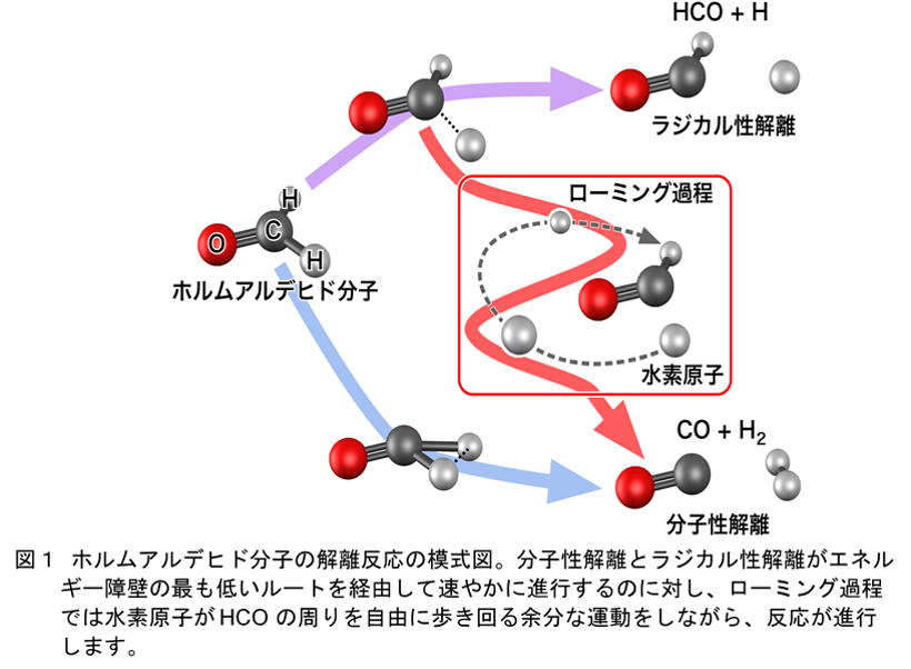 ホルムアルデヒド分子の解離反応の模式図