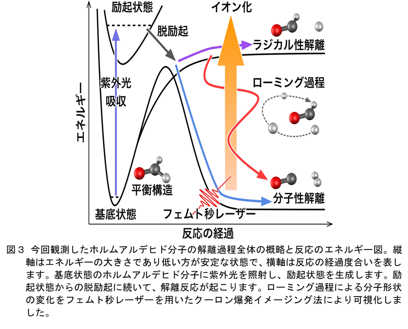 今回観測したホルムアルデヒド分子の解離過程全体の概略と反応のエネルギー図